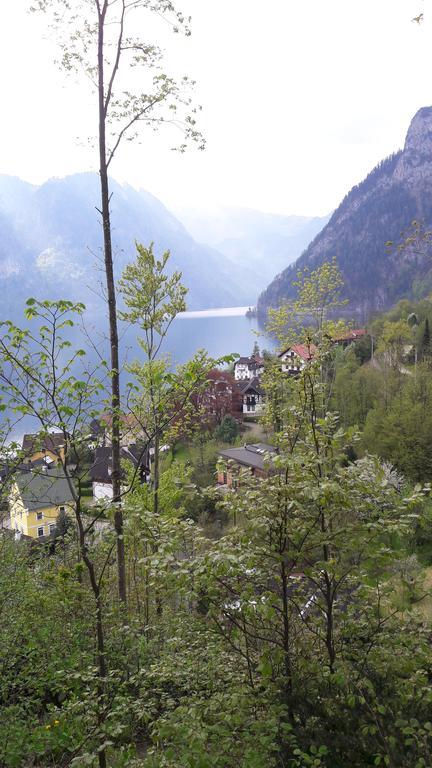 Apartament Am Baalstein Traunkirchen Zewnętrze zdjęcie
